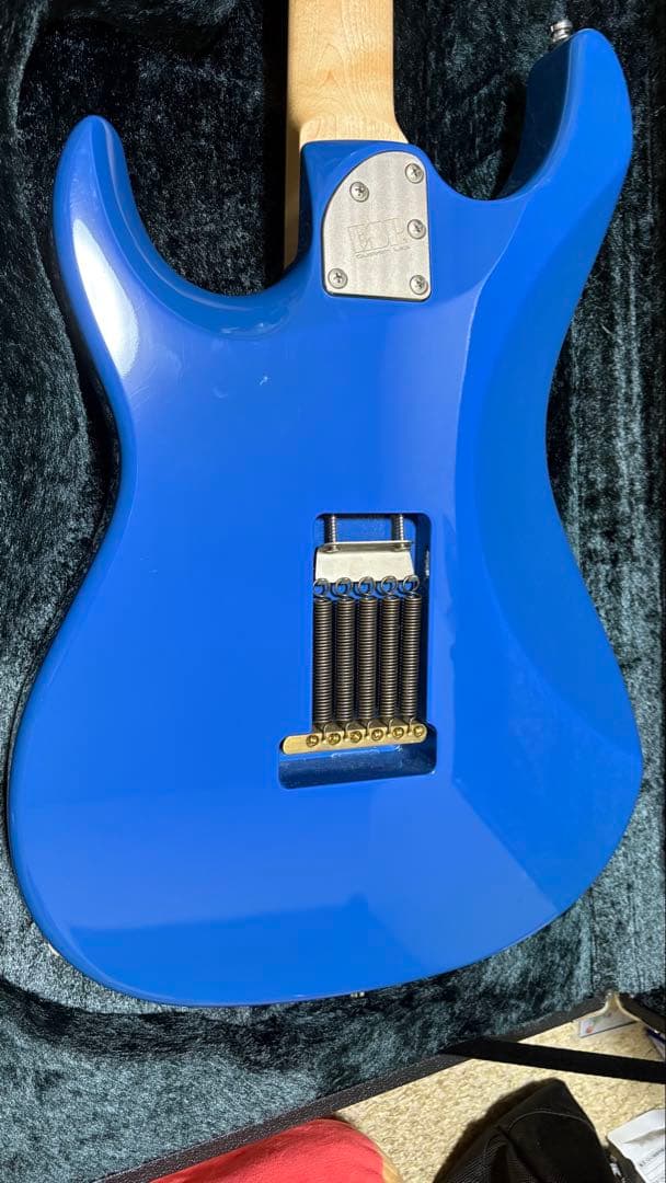 ギター ESP SNAPPER Tae BanG Dream!