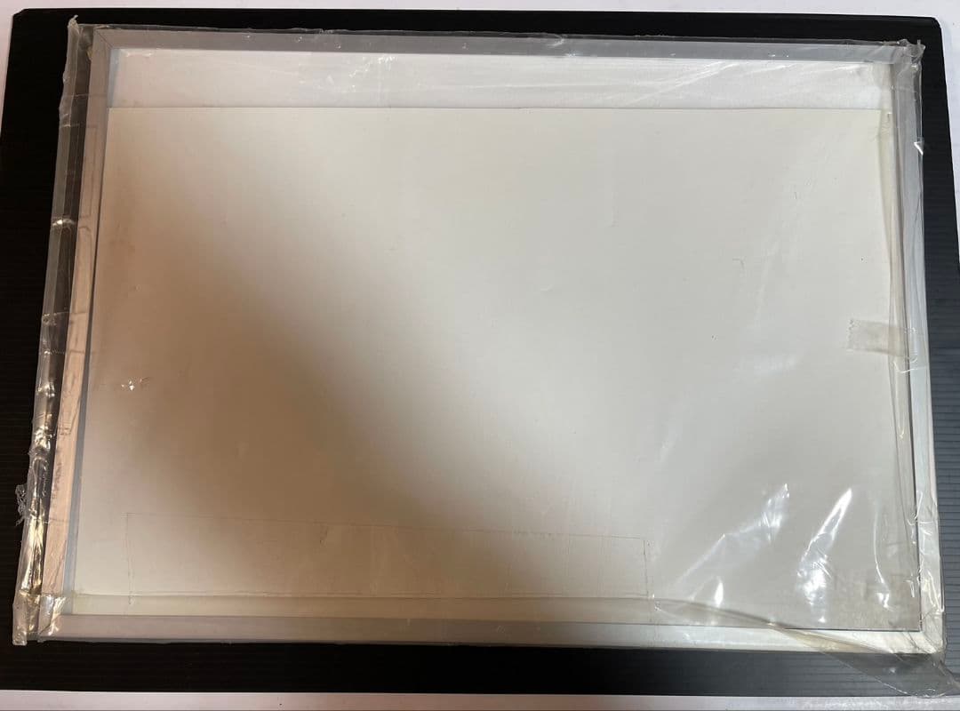 激レア 遊戯王 非売品 店頭用カード展示額縁 RDS 一部店舗限定舗販促物