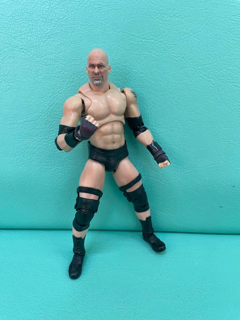 S.H.フィギュアーツ　ビル・ゴールドバーグ　カスタムフィギュア