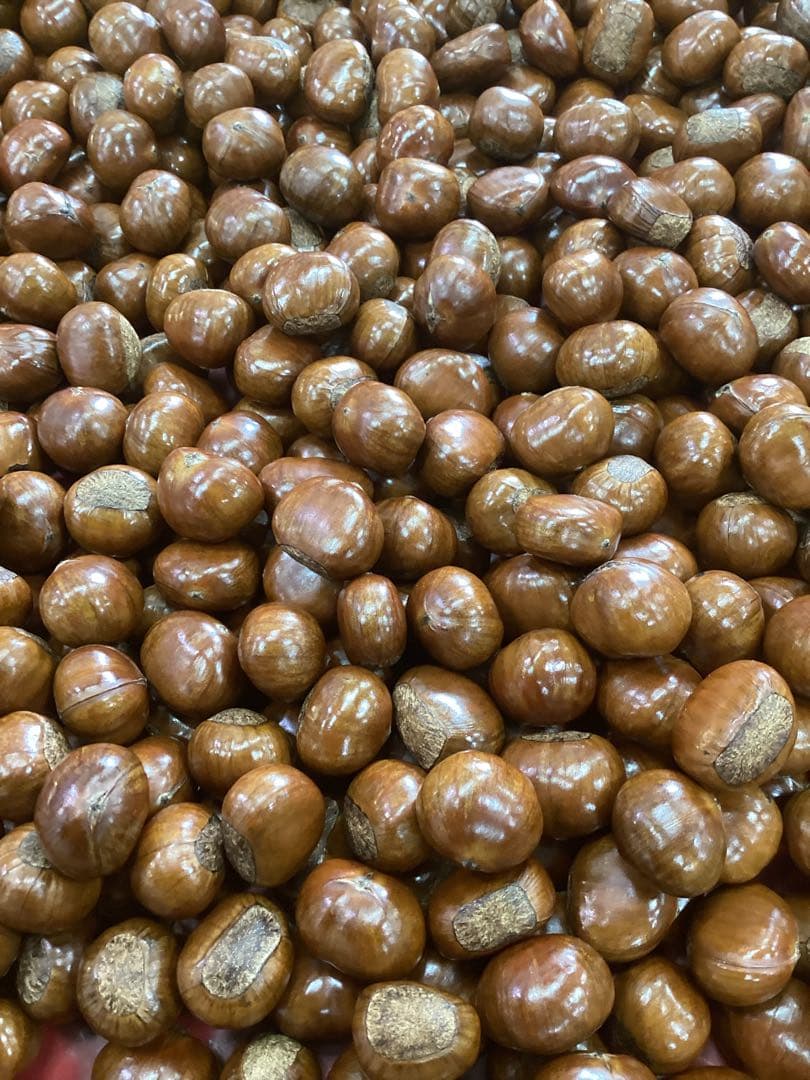 【けーけ】　ビックサイズ‼️や焼きたて‼️天津甘栗5キロ入り