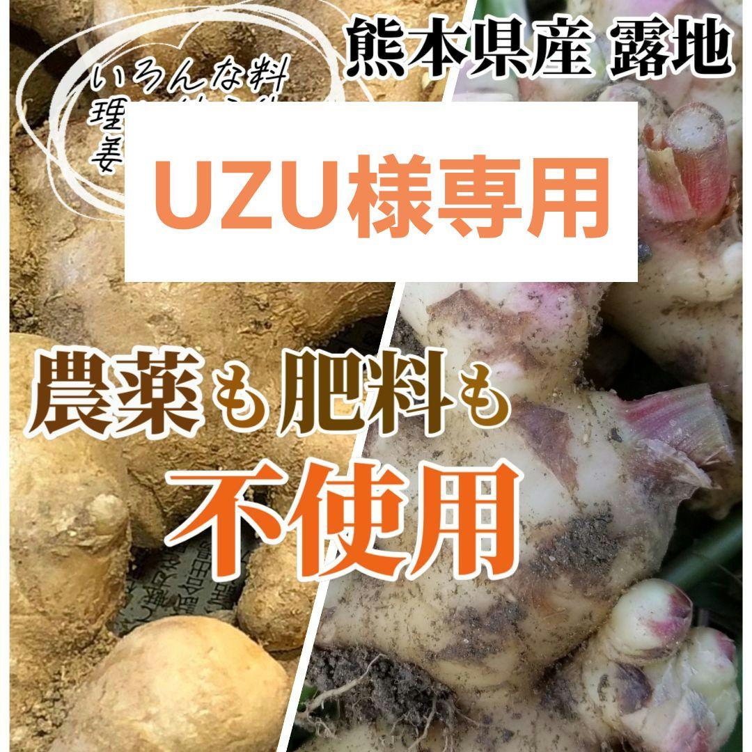 UZU 新生姜2,6kg 古根2,6kg 農薬肥料不使用 熊本県産