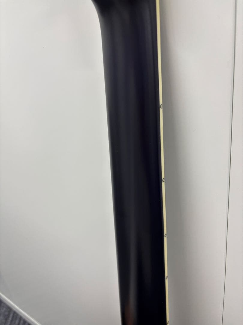 E-Ⅱ M-Ⅱ 7NT HS / Purple Natural Fade