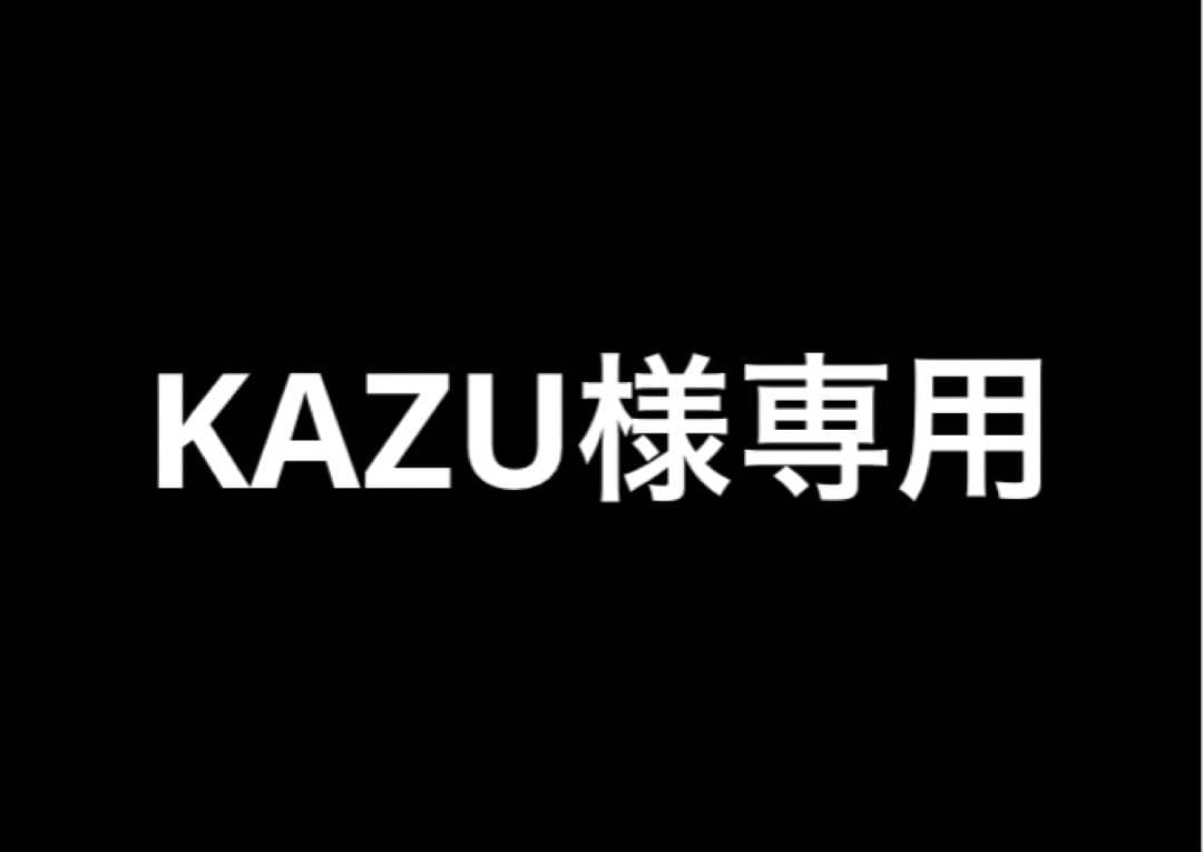 その他 KAZU