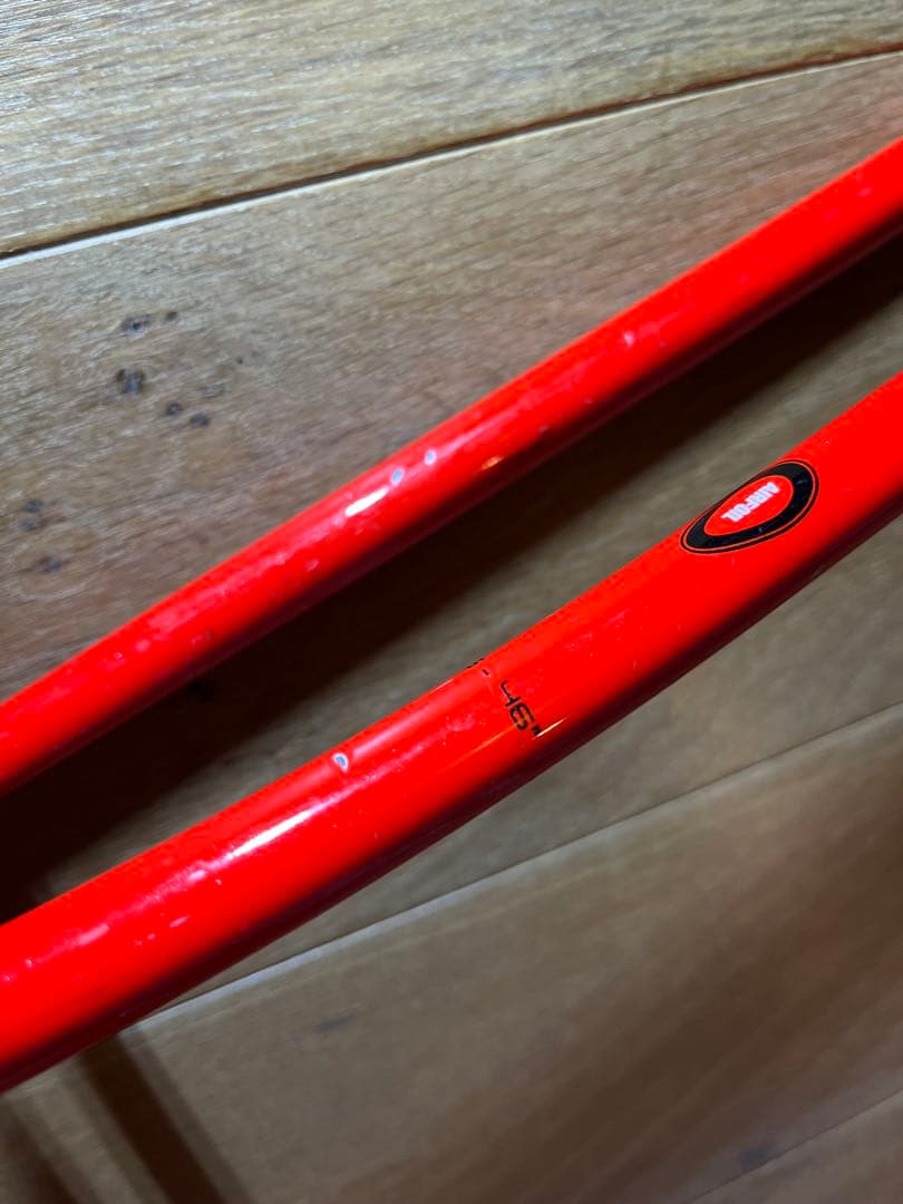 LEKI WORLD CUP スキー ストック