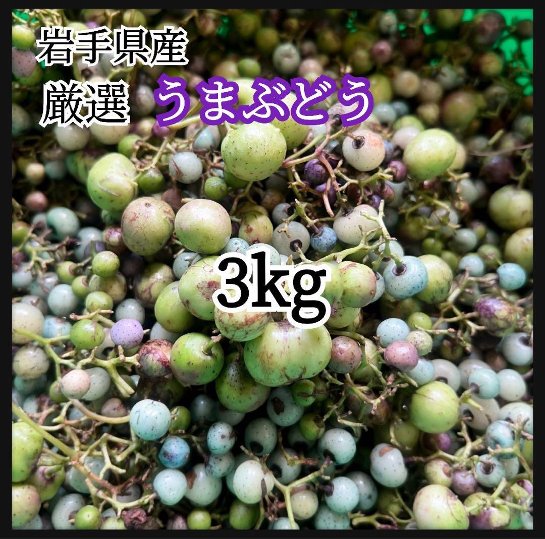 岩手県産 3kg250g×12袋 うまぶどう　冷凍クール便　薬膳　うまぶどう酒