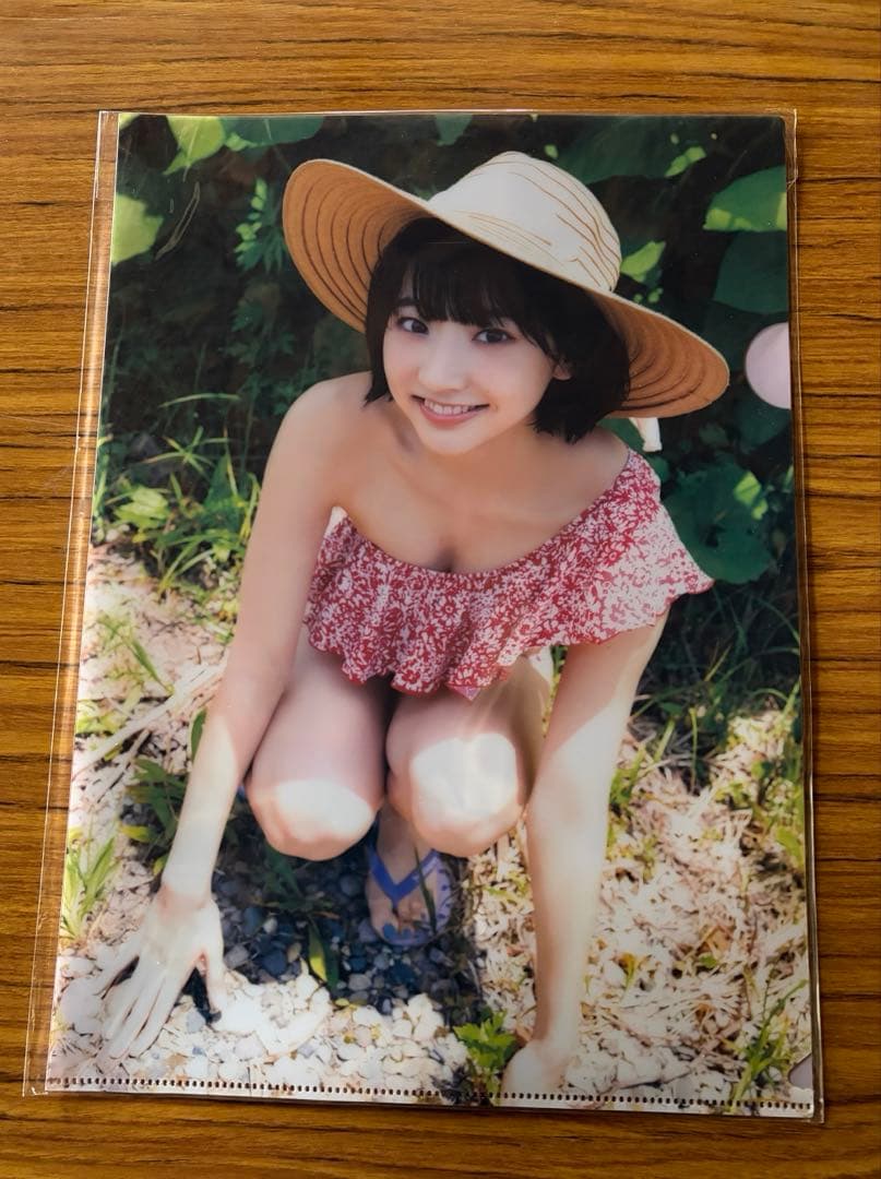 武田玲奈 クリアファイルセット