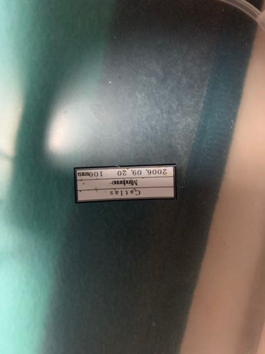 アトラスオオカブト　昆虫標本　雄雌セット