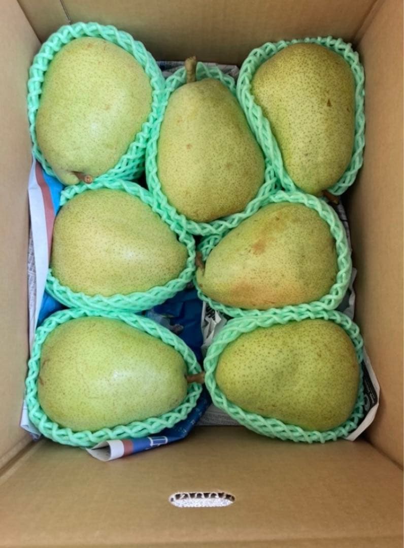 山形県産「マルゲリット・マリーラ」家庭用 10キロ箱✖︎二箱2