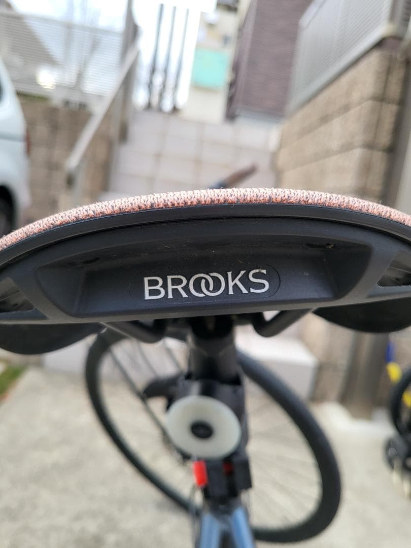 【zizicat】Fuji feather cx flat