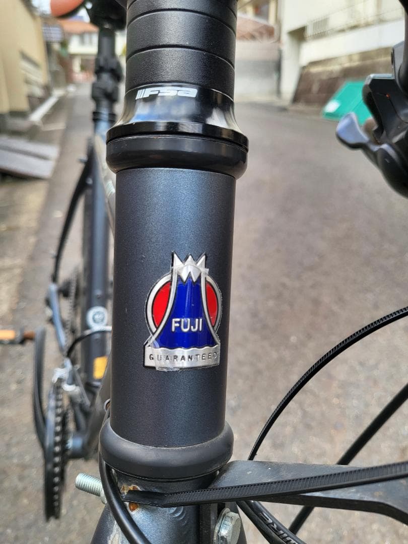 【zizicat】Fuji feather cx flat