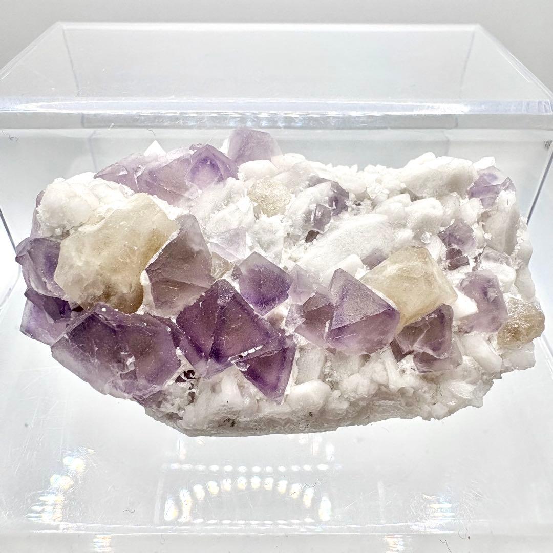 565 中国内モンゴル産　八面体フローライト&シェーライト