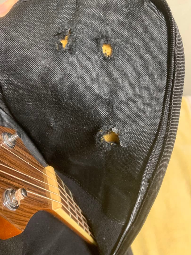 【修復・キズあり】Samick Greg Bennett ASDM オール単板