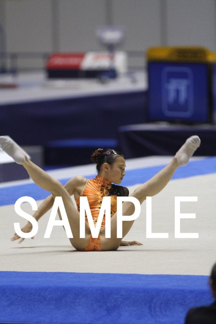 2016年全日本種目別体操 日本女子選手画像集①　約6,600枚