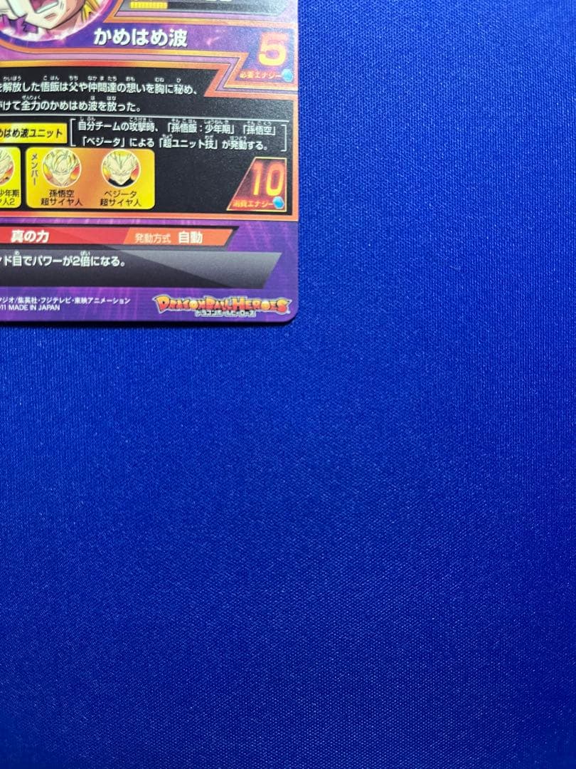 H2-16 孫悟飯:少年期 本家