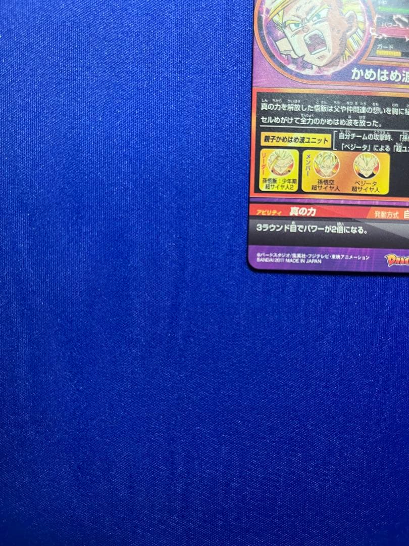 H2-16 孫悟飯:少年期 本家