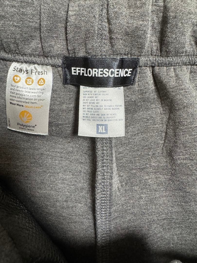 EFFLORESCENCE セットアップ