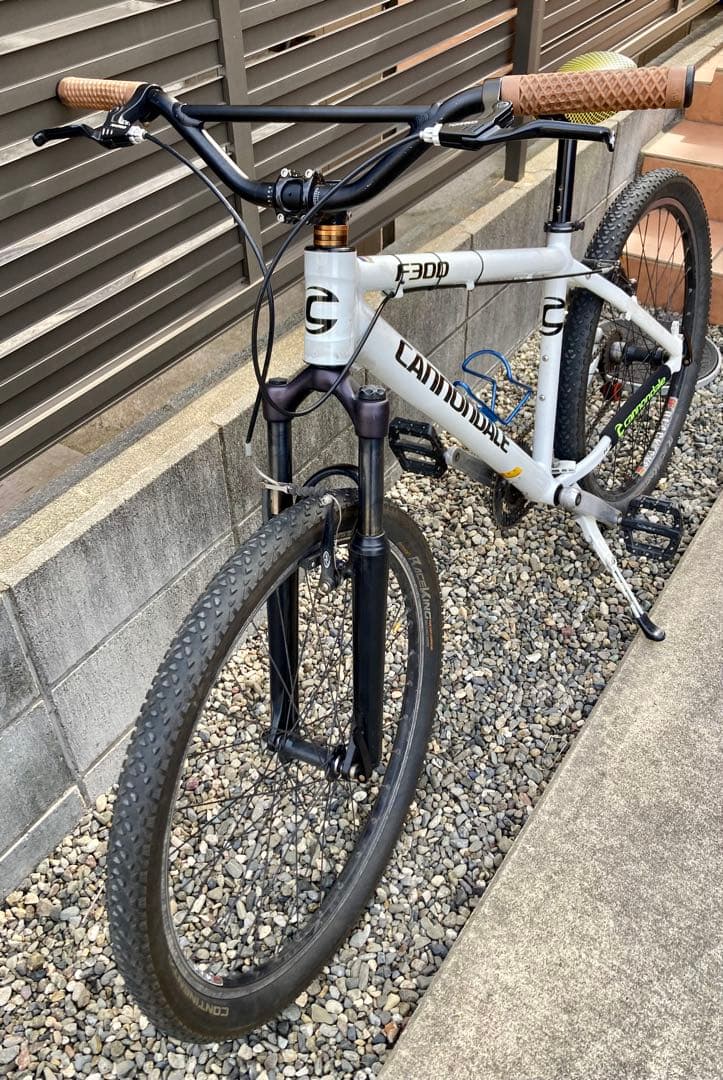 レアUSA製　キャノンデール　F300 Mサイズ　bluelug ブルーラグ