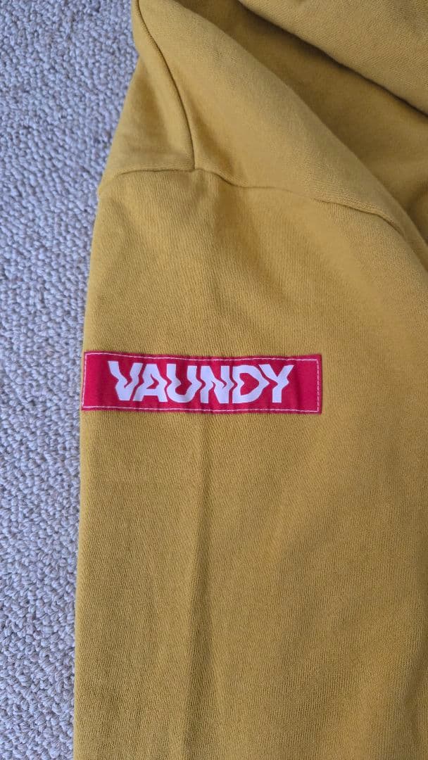 ​【完売品・美品】Vaundy Logo Hoodie サイズ M