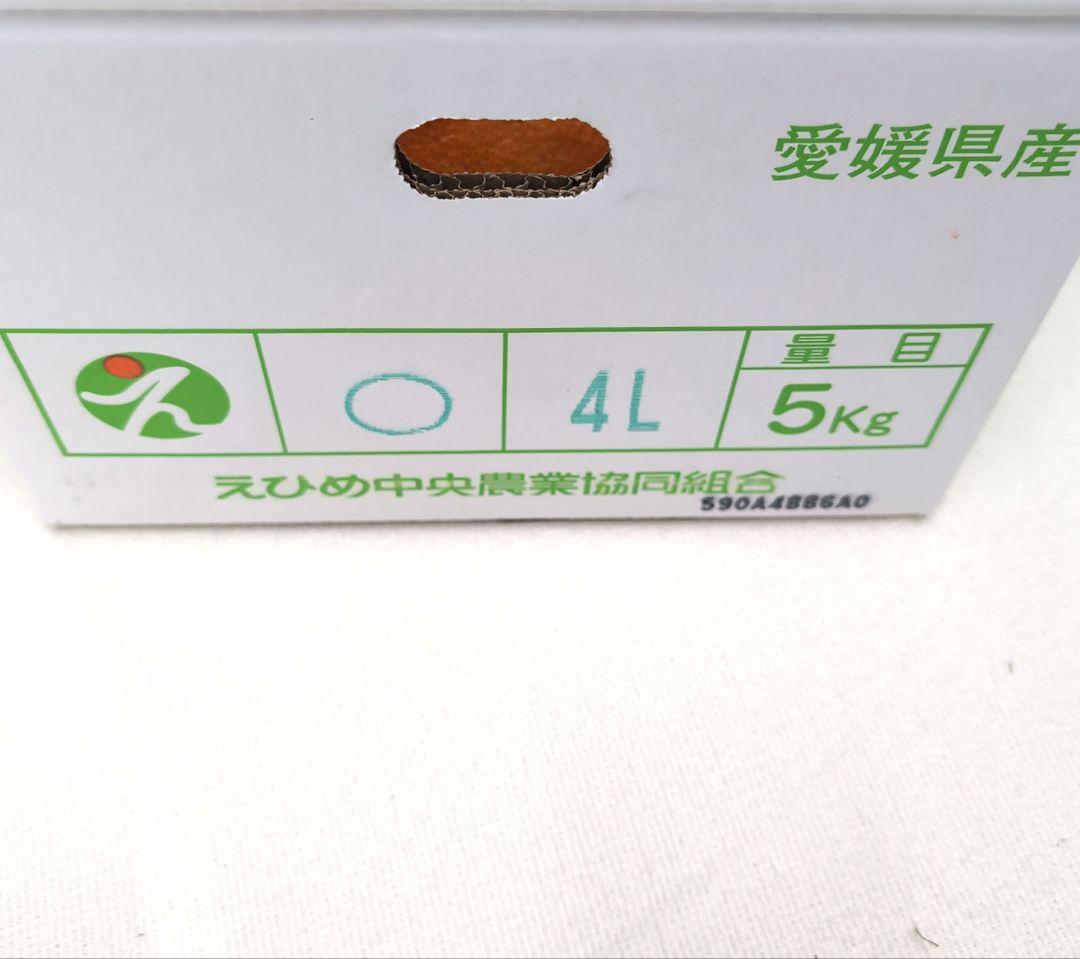 愛媛県産甘平みかん4Lサイズ 約5kg