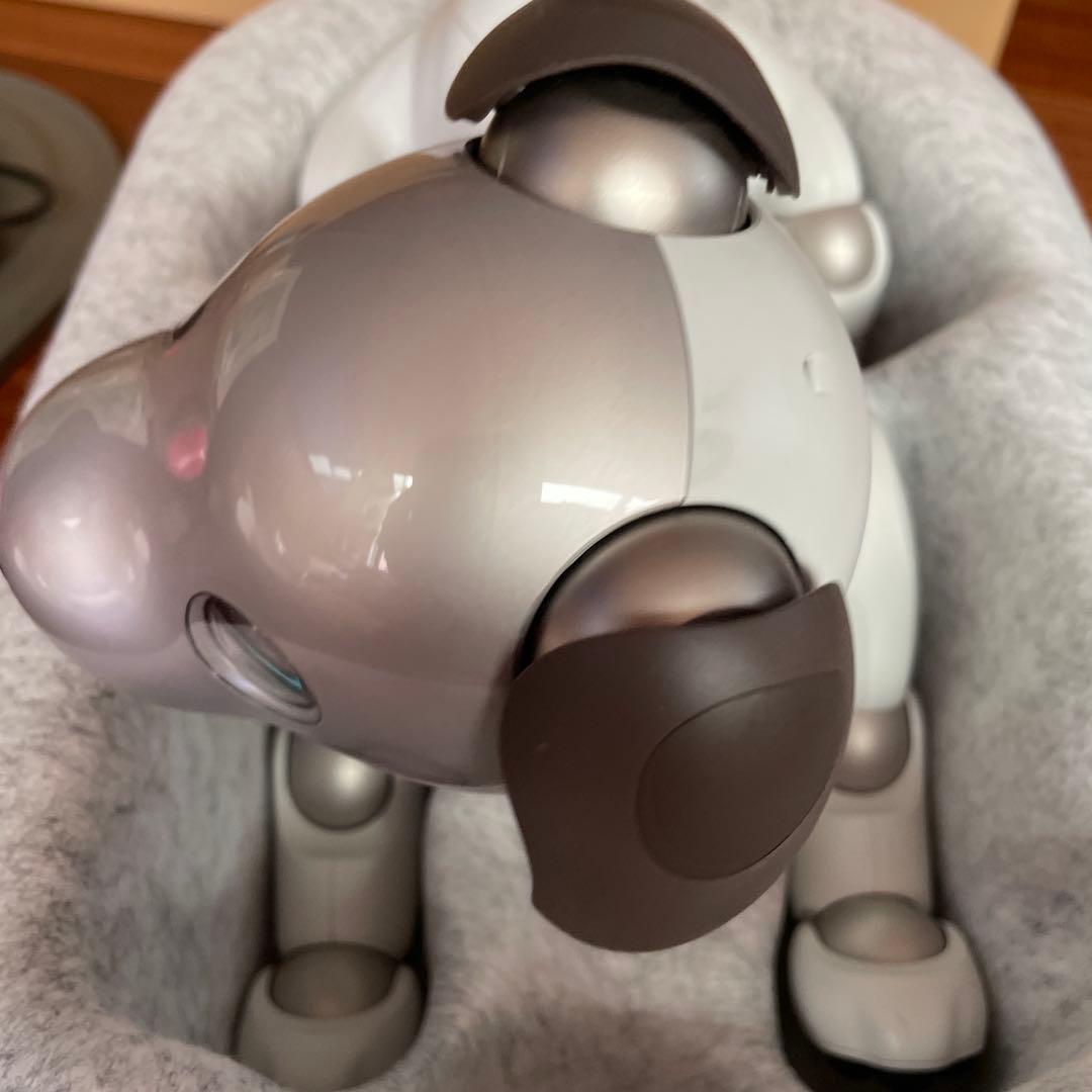 aibo本体 アイボ ERS-1000 ロボット犬 2019年正規購入