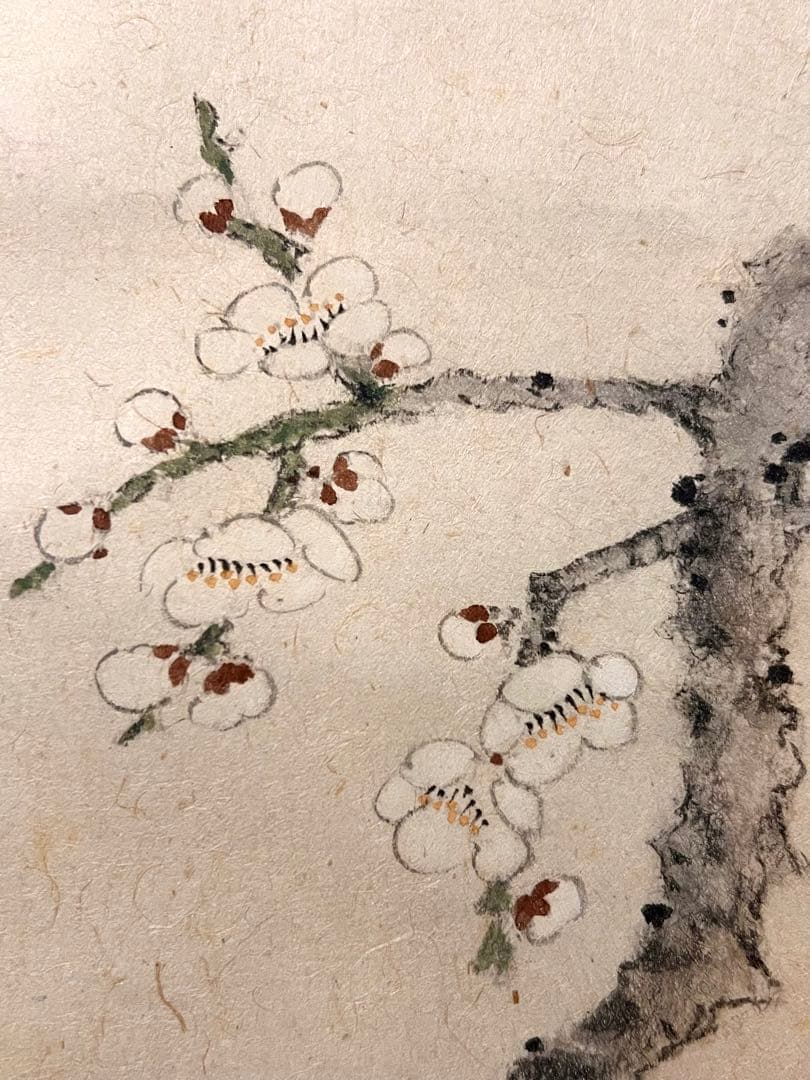 小杉放庵 「梅にうそ」 掛軸 掛け軸 複製工芸 印刷 五百城文哉師事 茶掛 春