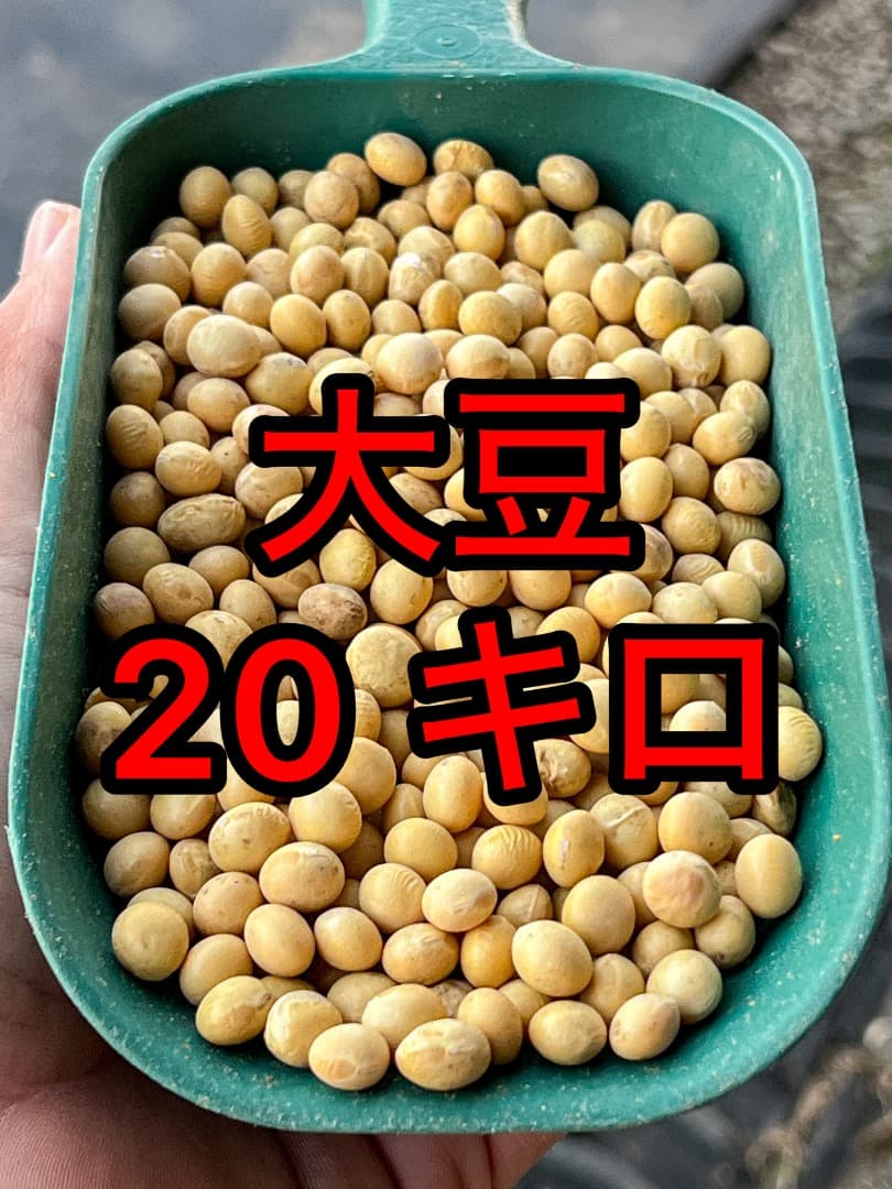 【農家直送】茨城県産大豆 里のほほえみ 20kg