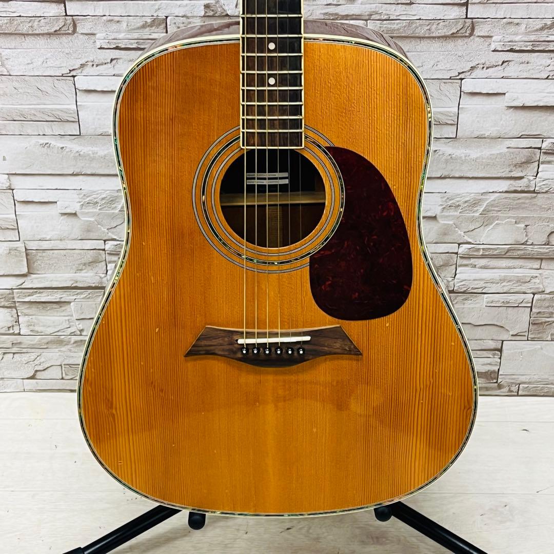 Elioth エリオス B305NA アコースティックギター