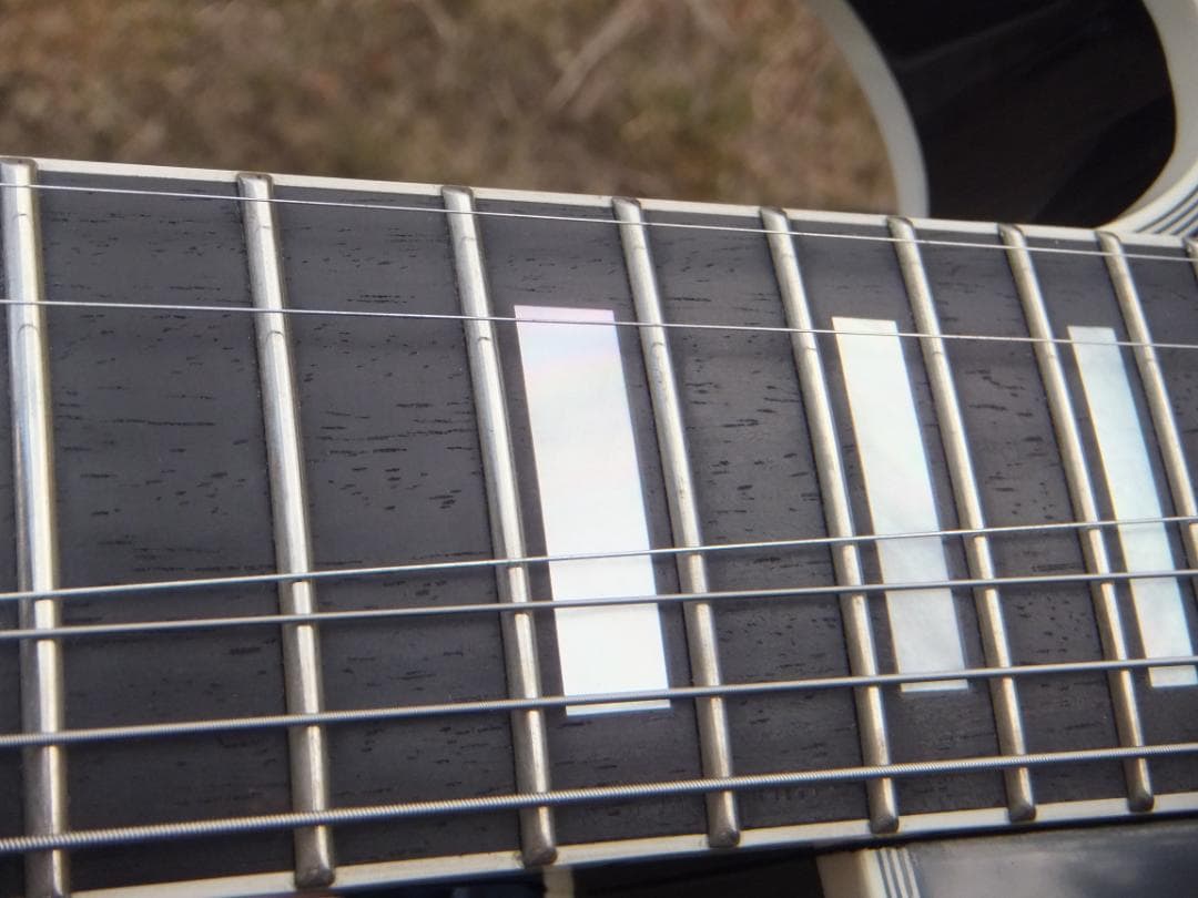 Fujigen NLC20EMH ラッカー　マホボディー　エボニー指板