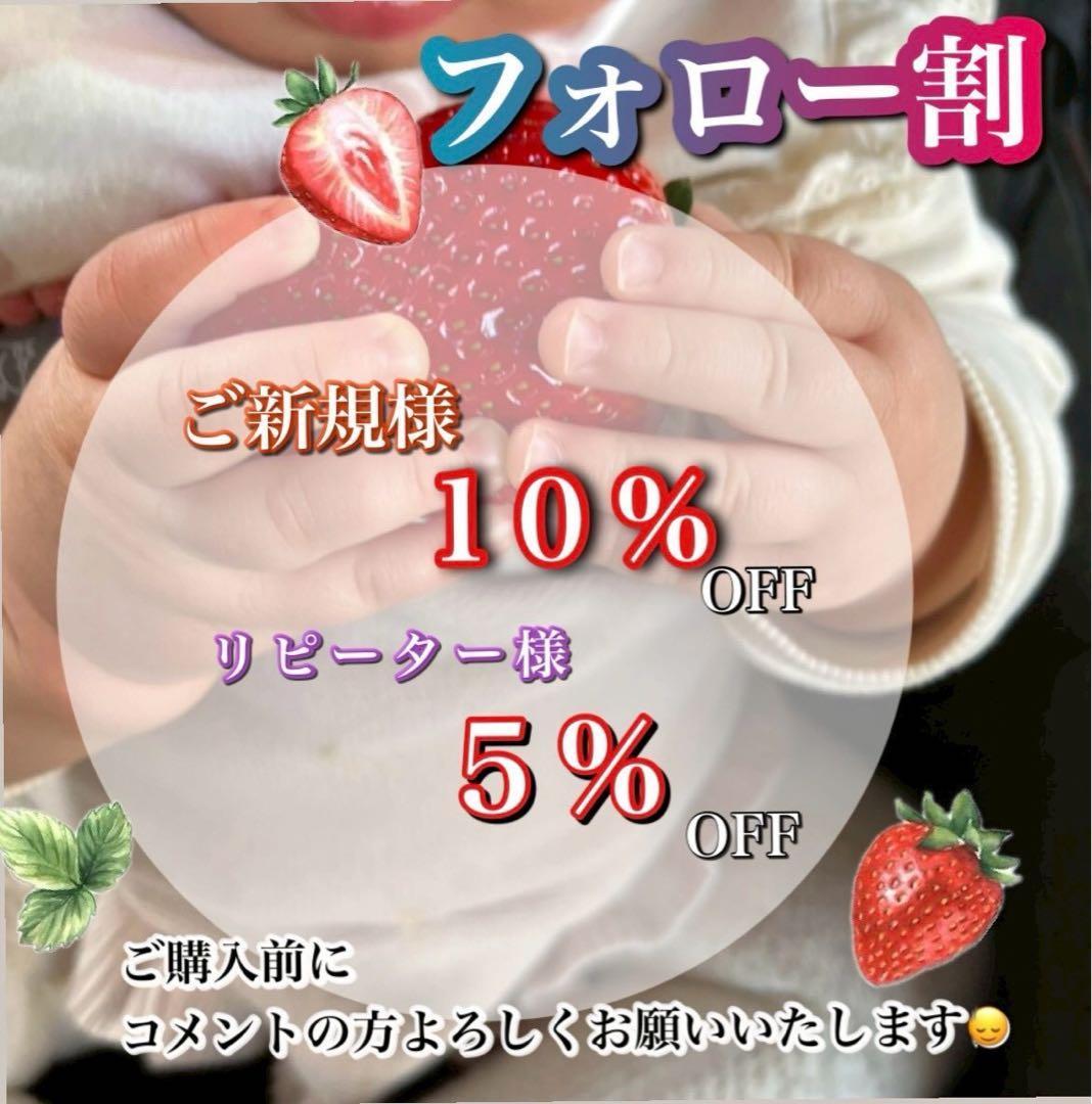 A級品 とちあいか いちご 25パック分　三田村様