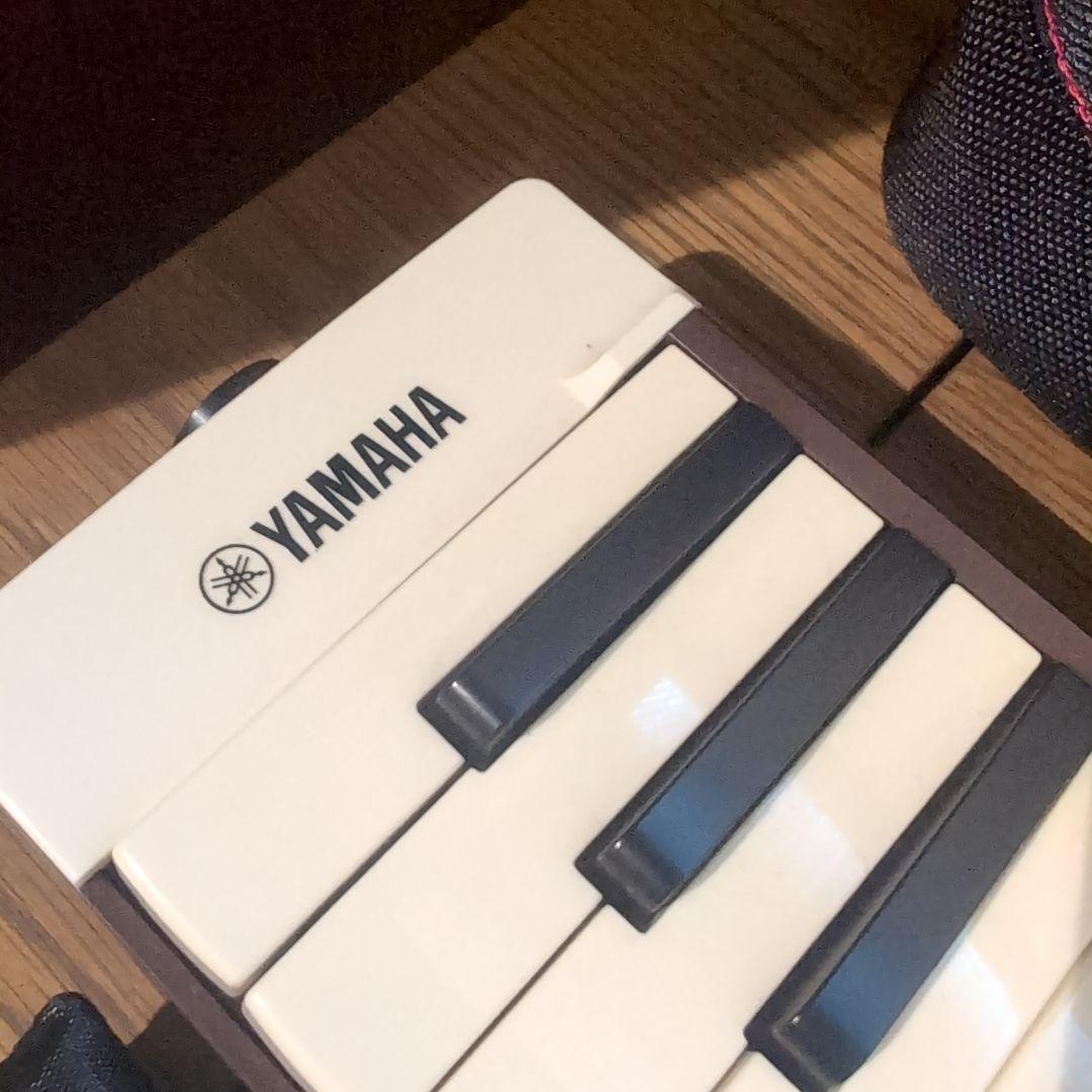 YAMAHA ヤマハ 37鍵 大人のピアニカ P-37EBR ソフトケース付き
