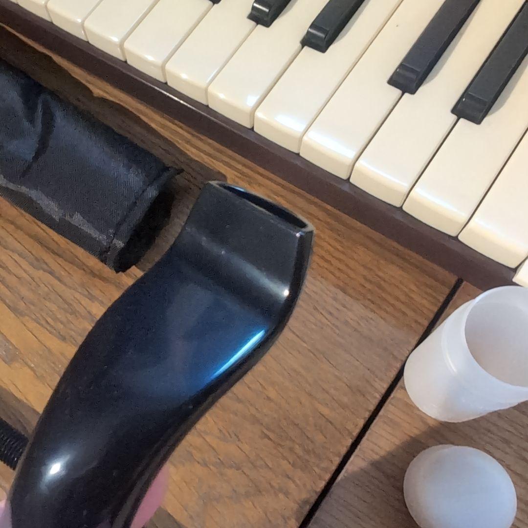 YAMAHA ヤマハ 37鍵 大人のピアニカ P-37EBR ソフトケース付き