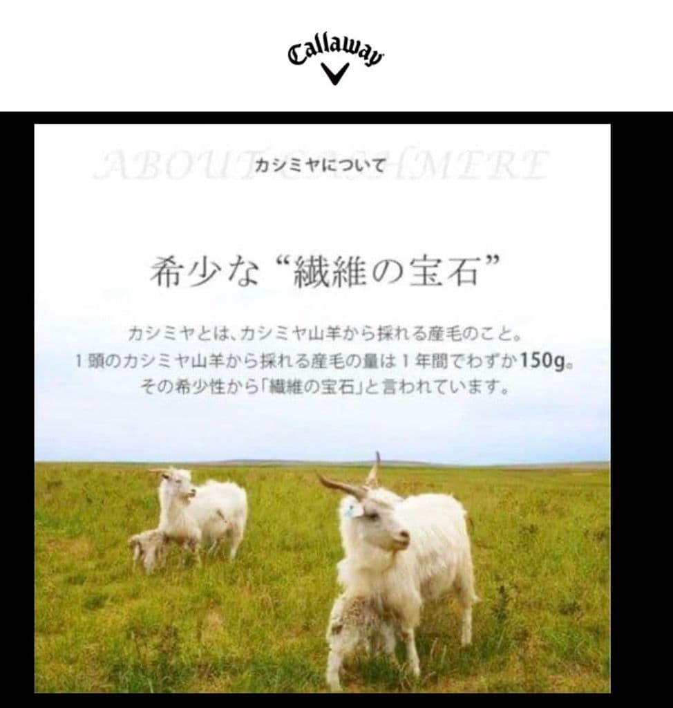 【希少品‼️】キャロウェイ カシミヤ100%Ｖネックニットレッド Ｍ