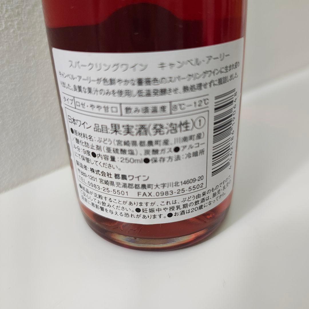 百年の孤独 焼酎 黒木本店 まとめ売りのみ都農ワイン スパークリング