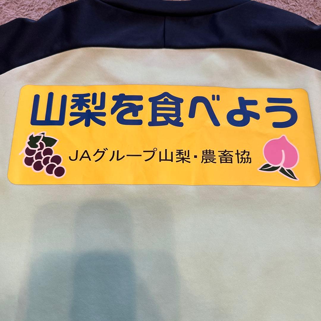 Mizuno ヴァンフォーレ甲府　トレーニングウェア