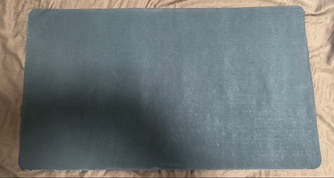 Magic Fest　適者生存　プレイマット　MTG