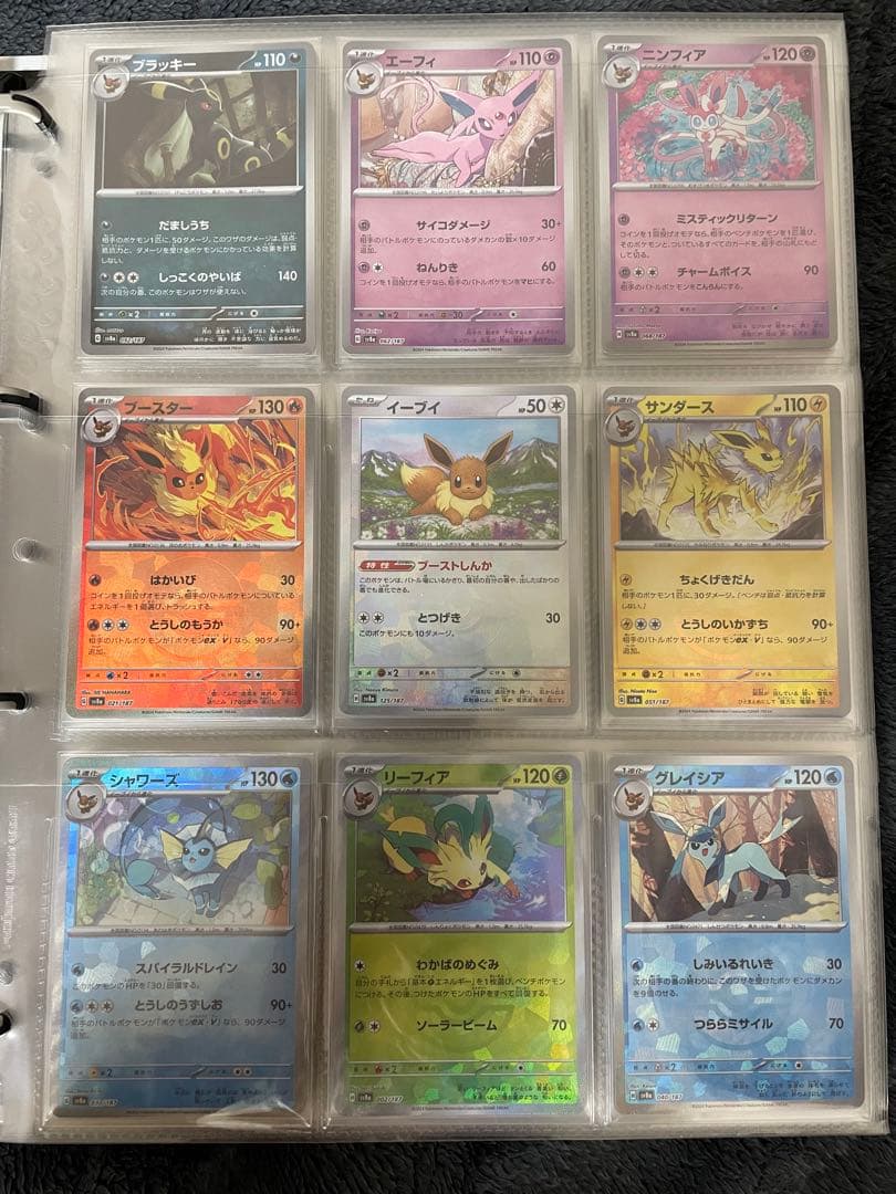 ポケモンカード　引退品　ブイズのみ　ファイル付き