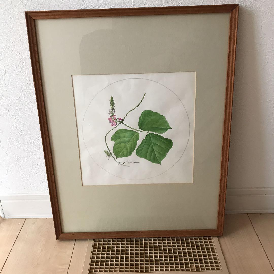 太田洋愛　ボタニカルアート　くずの花