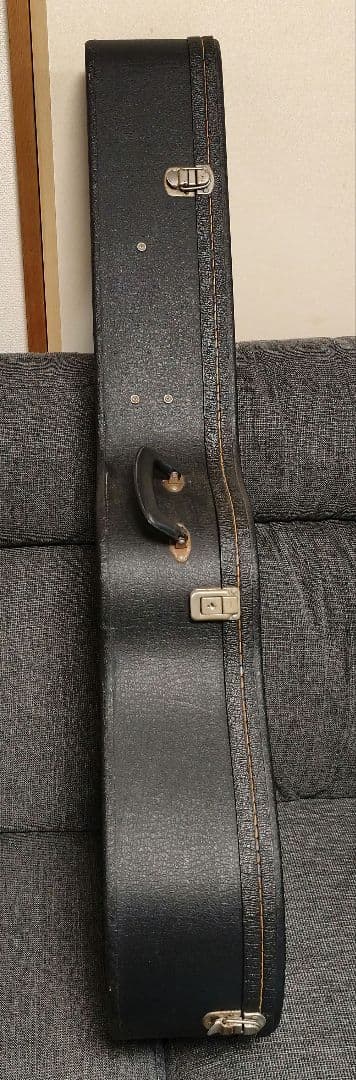 エレアコ Legend Powerd by ARIA LJ-15EN