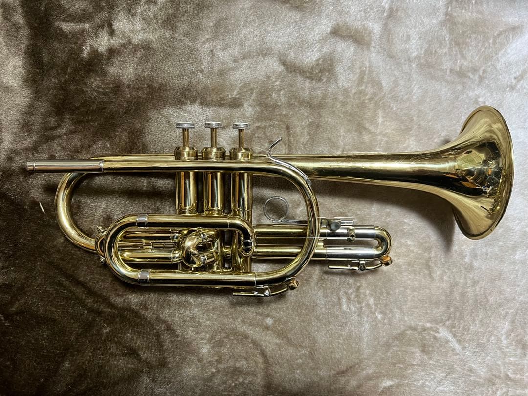 コルネット ホルトン　カレッジエイトモデル