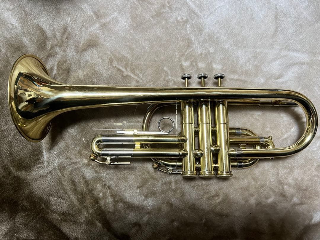 コルネット ホルトン　カレッジエイトモデル