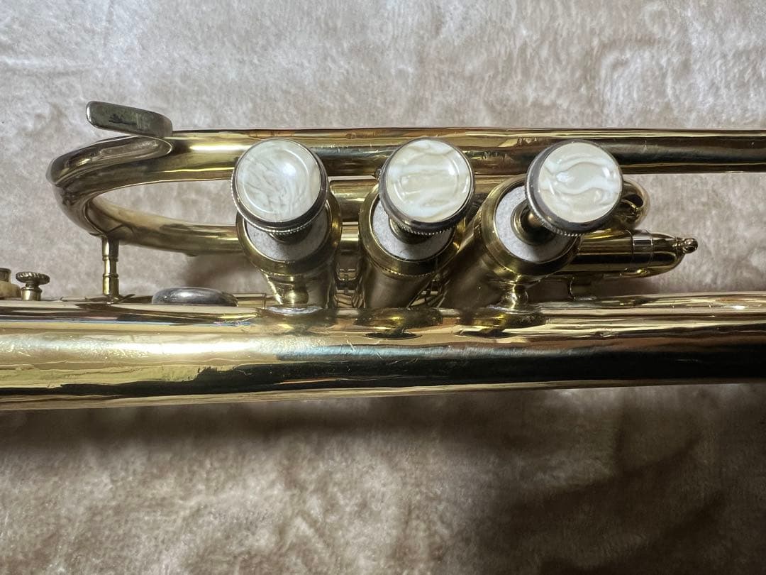 コルネット ホルトン　カレッジエイトモデル