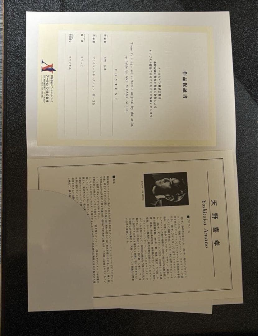 天野喜孝直筆原画　プライベートセレクションB-35