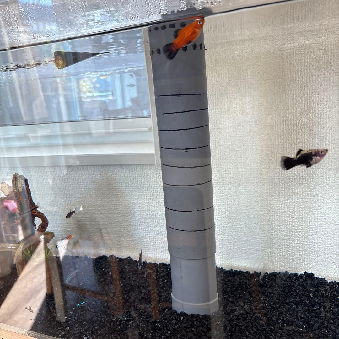 アクリル水槽セット　オーバーフロー