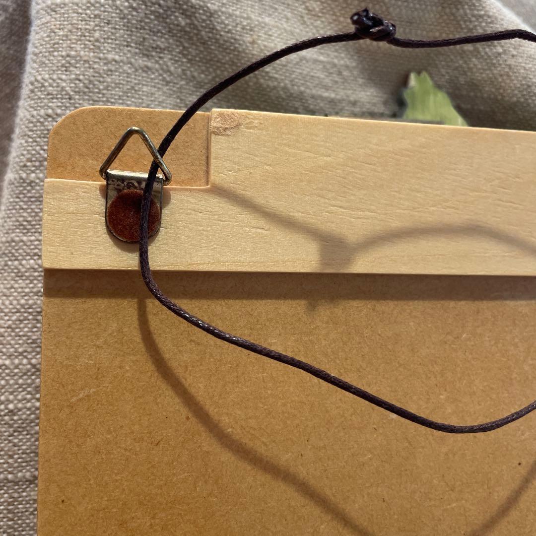 ジブリ　トトロ　バインダー