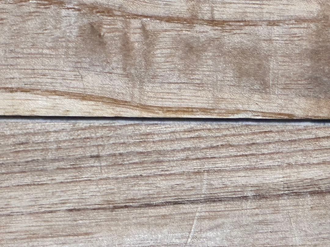 成井立歩　双鳥文赤絵皿　検）益子焼　合田好道　円道寺窯　成井恒雄