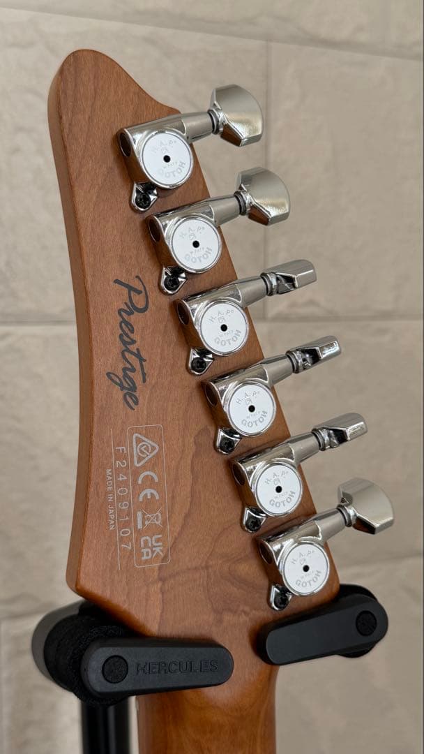 Ibanez AZ2402 2024年12月購入