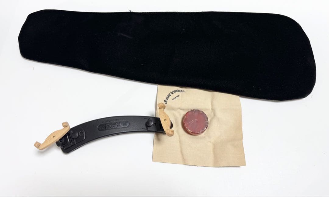 Carlo Giordano VS-1 1/2 バイオリン 入門セット 2021