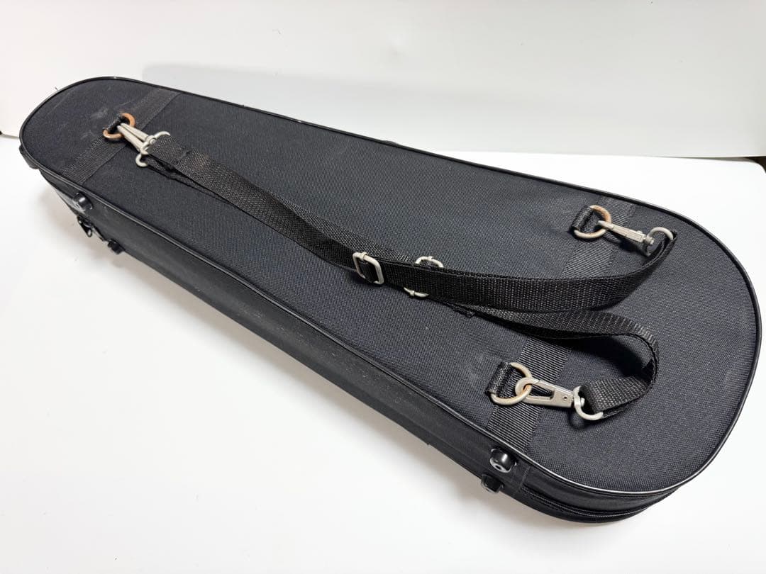 Carlo Giordano VS-1 1/2 バイオリン 入門セット 2021