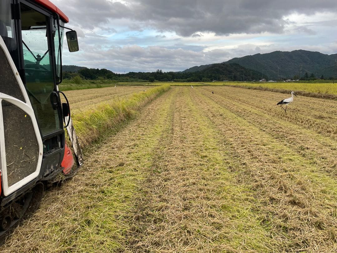 ① ゆうだい21 （白米3kg）・コシヒカリ（白米5kg）セット