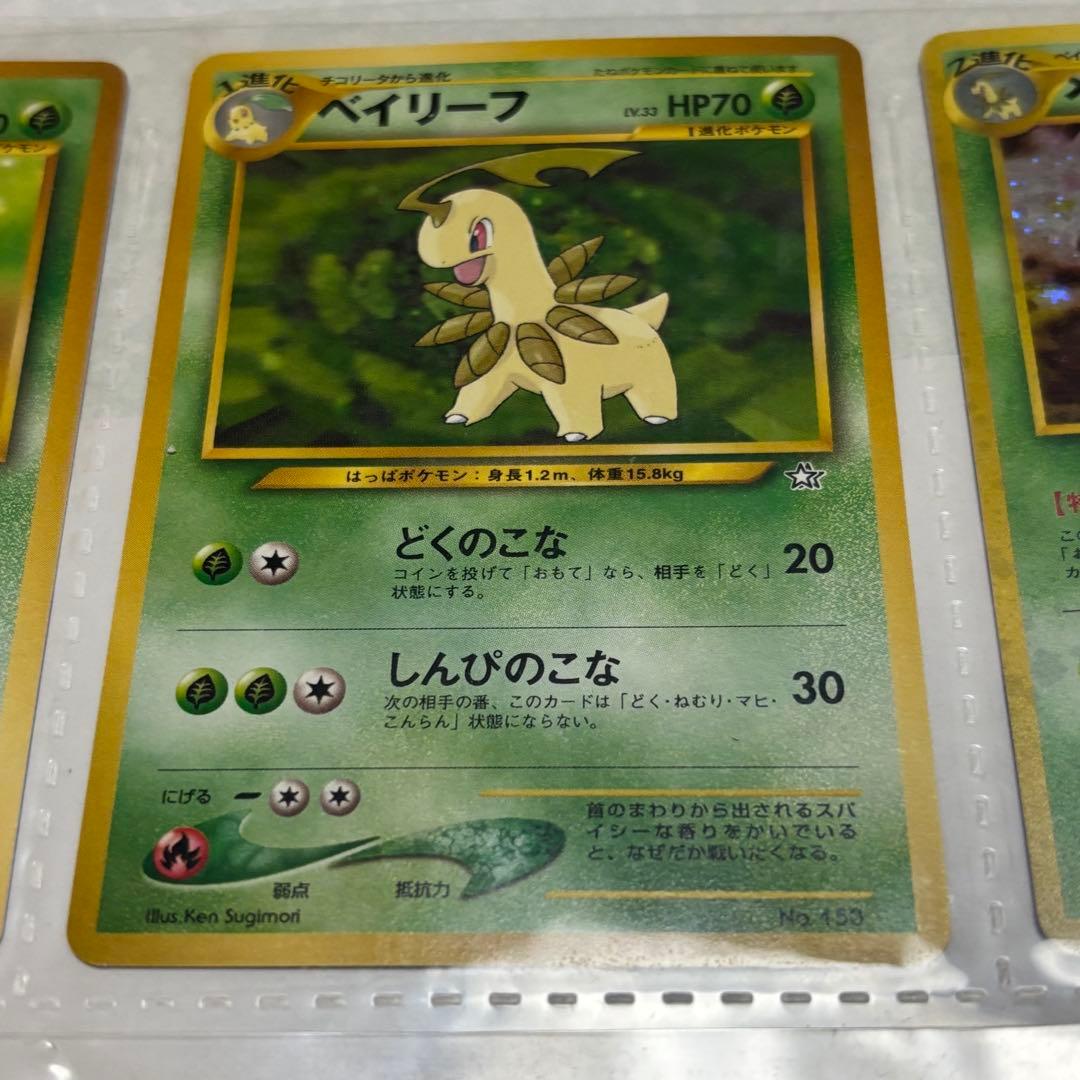 ポケモンカードneo 旧裏 プレミアムファイル 旧裏 初版 マークなし 御三家